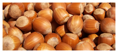 hazelnut